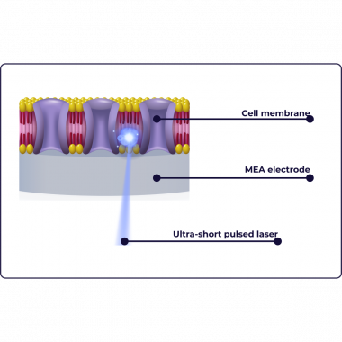 Ultra short-pulsed laser